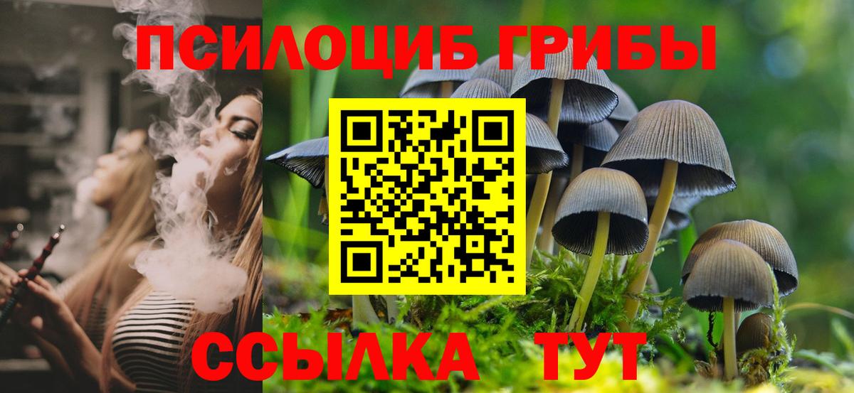 Псилоцибиновые грибы прущие грибы  Вход с VPN  Красный Сулин 